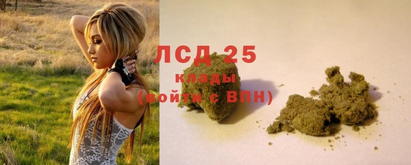 молекула духа Новосибирск