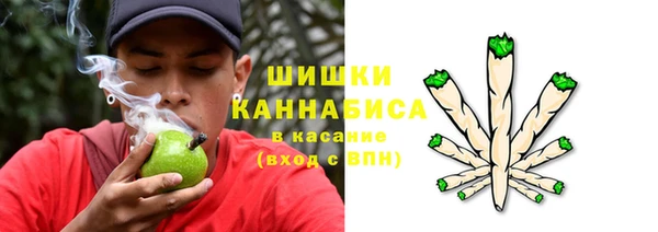 шишки Санкт-Петербург