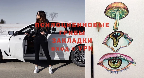 молекула духа Новосибирск