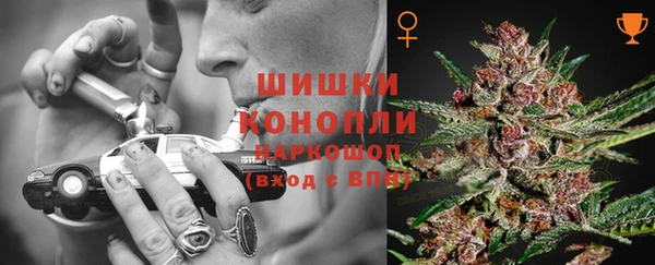 молекула духа Новосибирск