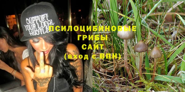 молекула духа Новосибирск