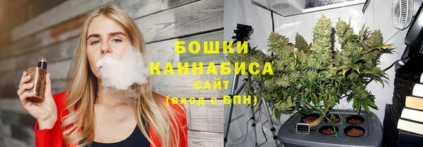 молекула духа Новосибирск