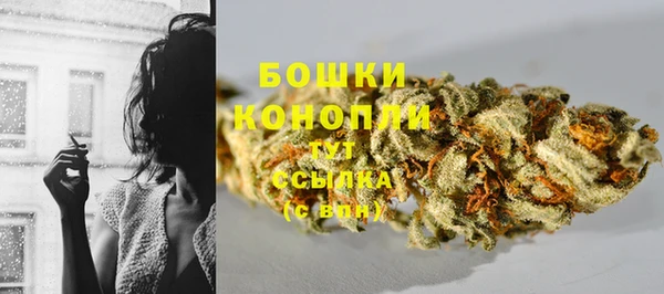 молекула духа Новосибирск
