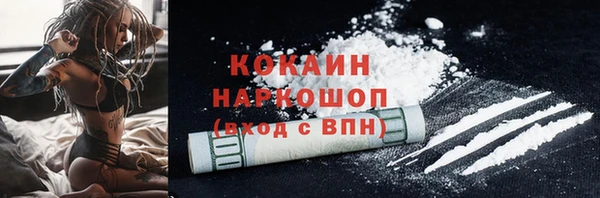 шишки Санкт-Петербург